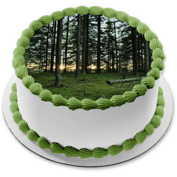 Forest Landscape Edible Cake Topper Image ABPID52586