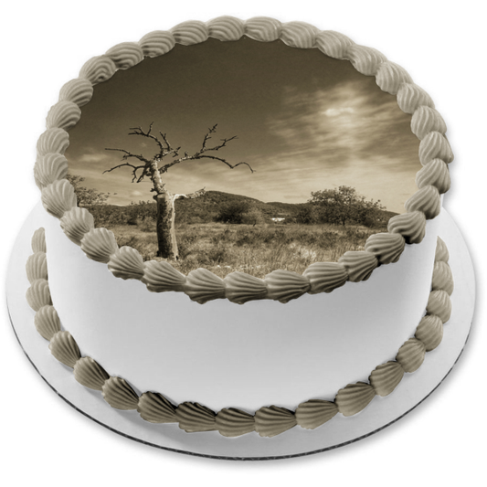 Trees Sepia Tone Bleak Landscape Edible Cake Topper Image ABPID52589