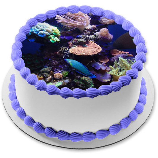 Ocean Scape Coral Edible Cake Topper Image ABPID52590
