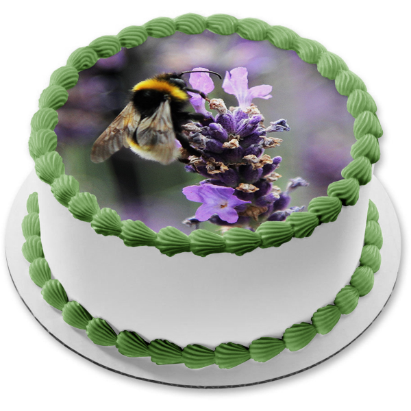 Honey Bee on a Flower Edible Cake Topper Image ABPID52592