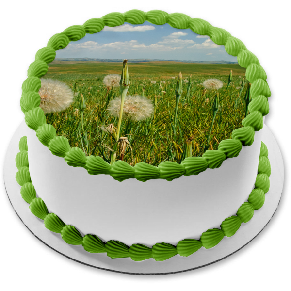 Dandelion Praire Edible Cake Topper Image ABPID52607