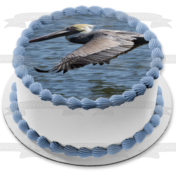 Brown Pelican Edible Cake Topper Image ABPID52608