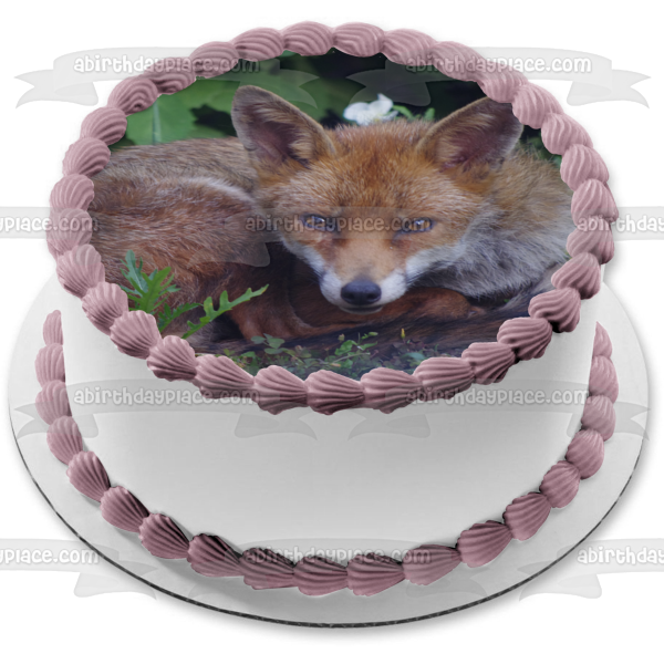 Nature Wildlife Forest Fox Animal Edible Cake Topper Image ABPID52828