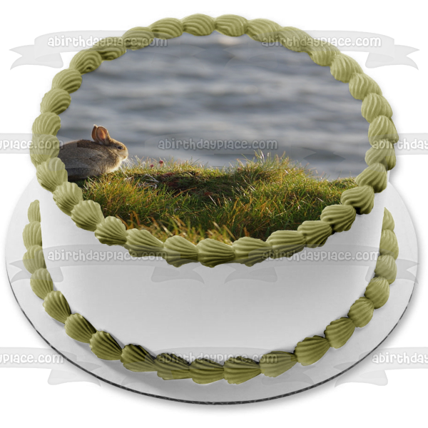 Bunny Rabbit Cliffside Nature Animal Edible Cake Topper Image ABPID52914