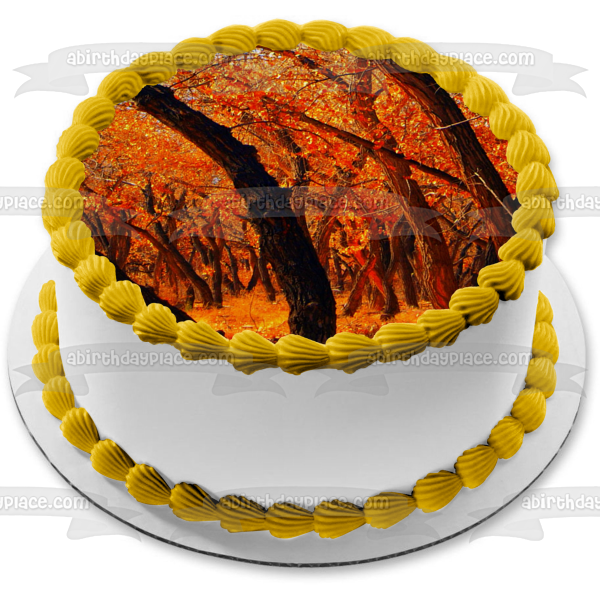 Fall Scenery Fall Colored Trees and Leaves Edible Cake Topper Image ABPID52923