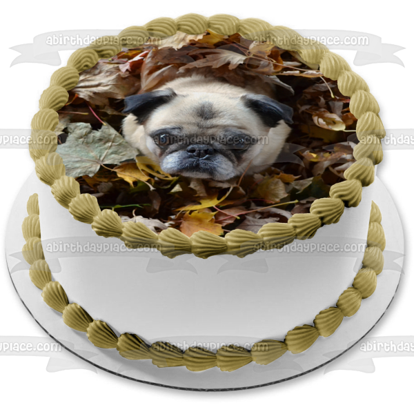 Pug Puppy In Leaf Pile Fall Season Edible Cake Topper Image ABPID52935