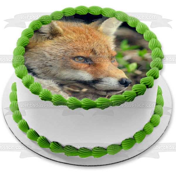 Wildlife Fox Edible Cake Topper Image ABPID52939