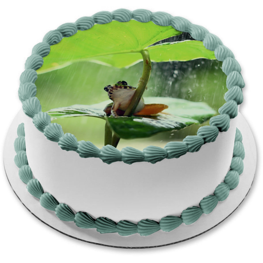 Imagen de decoración comestible para tarta con forma de hoja de rana, lluvia, naturaleza, animal al aire libre, ABPID52946 