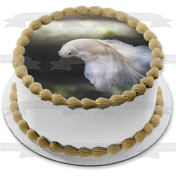White Betta Fish Aquarium Animal Nature Edible Cake Topper Image ABPID52988