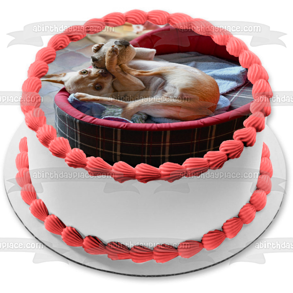 Dog Puppy Animal Cute Pet Playing Edible Cake Topper Image ABPID53014