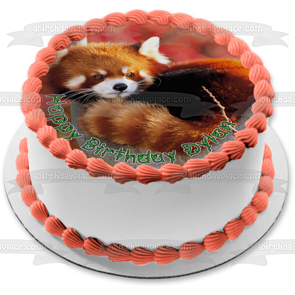 Red Panda In Tree Edible Cake Topper Image ABPID49650