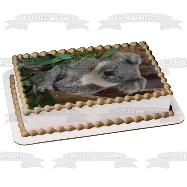 Koala Bear Trees Leaves Edible Cake Topper Image ABPID10082 – A