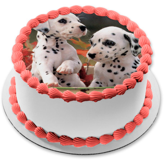 Puppies Dalmatians Edible Cake Topper Image ABPID11862