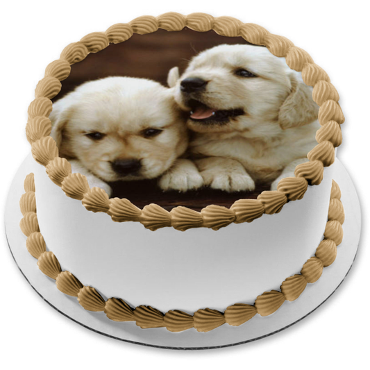 Puppies Golden Retrievers Edible Cake Topper Image ABPID11864
