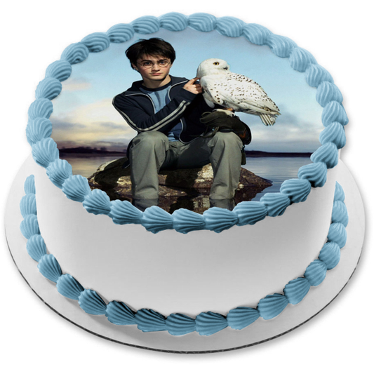 Harry Potter and the Prisoner of Azkaban Hedwig Blue Sky Background Edible Cake Topper Image ABPID11872