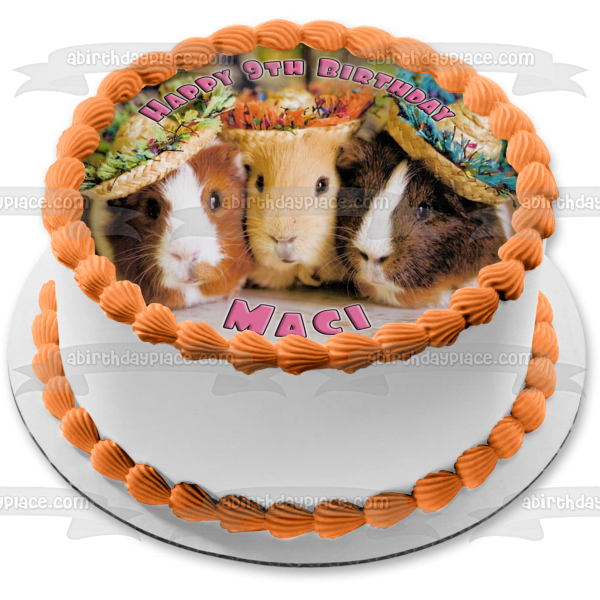 Cute Guinea Pigs Together Hats Sombrero Edible Cake Topper Image ABPID00836