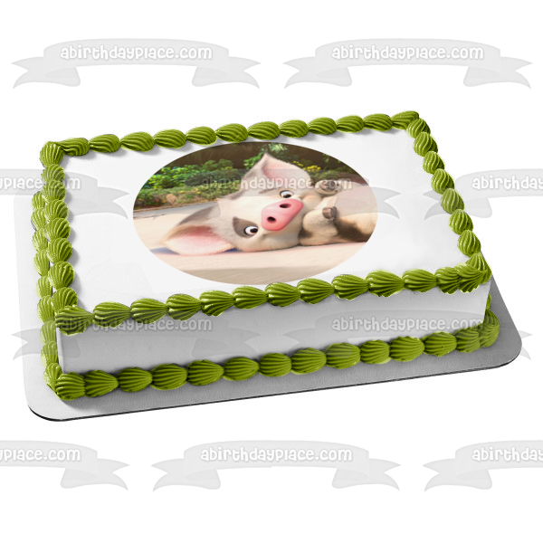 Disney Moana Pua the Pig Edible Cake Topper Image ABPID14987