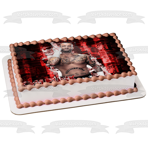 WWE World Wrestling Entertainment CM Punk Edible Cake Topper Image ABPID20686