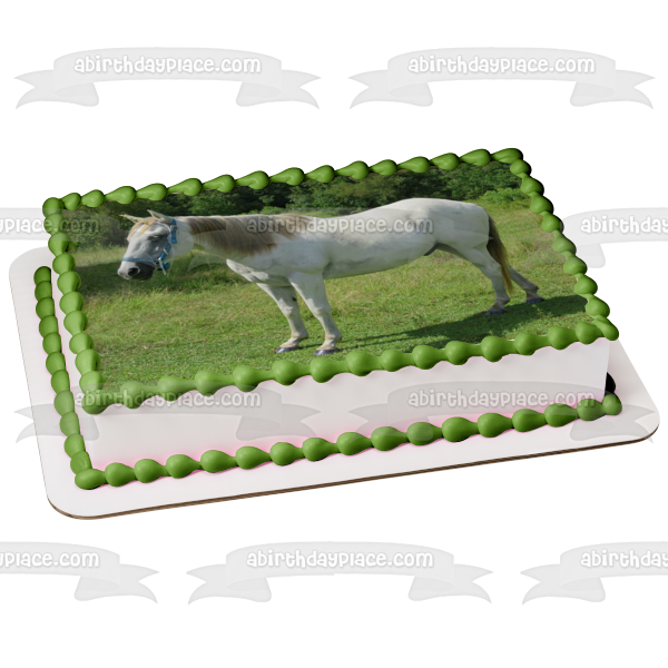 Animals Horses White Horse Trees Edible Cake Topper Image ABPID22135