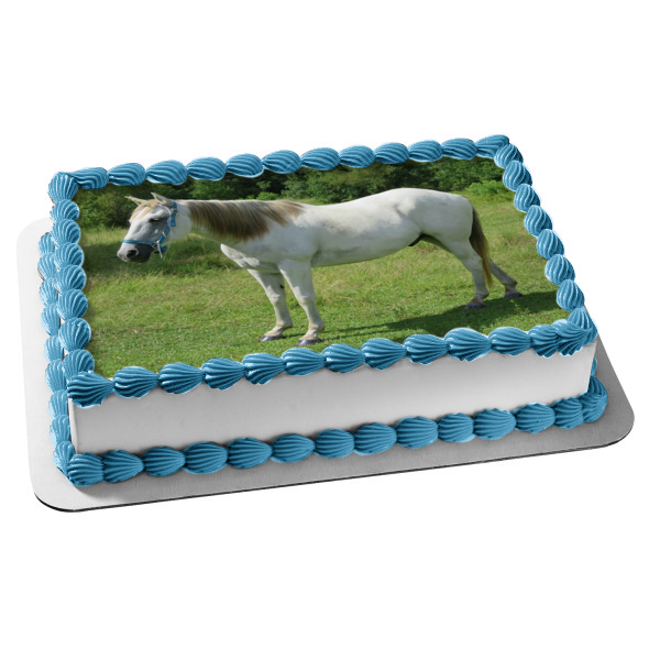 Animals Horses White Horse Trees Edible Cake Topper Image ABPID22135