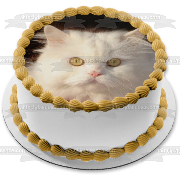Imagen comestible para decoración de tarta con gato blanco peludo sobre fondo negro ABPID26980 