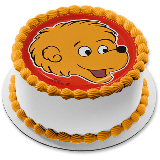 Berenstain Bears Brother Bear Edible Cake Topper Image ABPID03429