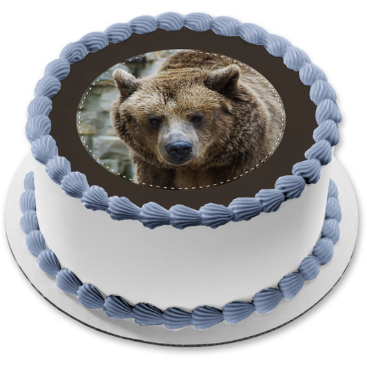 Grizzly Bear Trees Edible Cake Topper Image ABPID05971