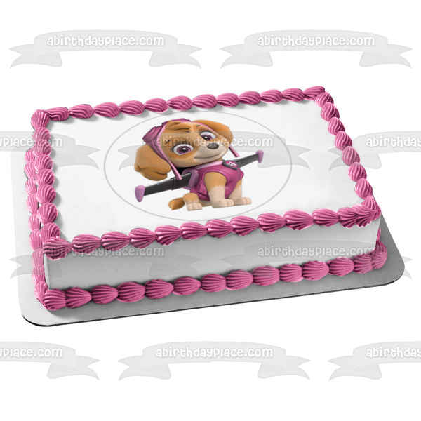 Paw Patrol Skye Pup Pack Wings Edible Cake Topper Image ABPID27513
