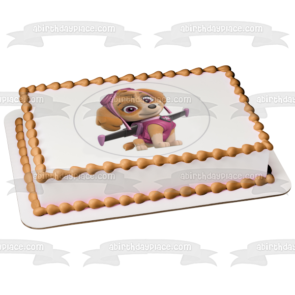 Paw Patrol Skye Pup Pack Wings Edible Cake Topper Image ABPID27513