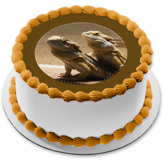 Bearded Dragons Edible Cake Topper Image ABPID08957