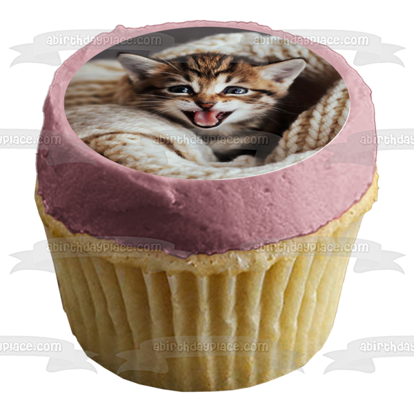 Knit Blanket Cat Edible Cake Topper Image ABPID50259