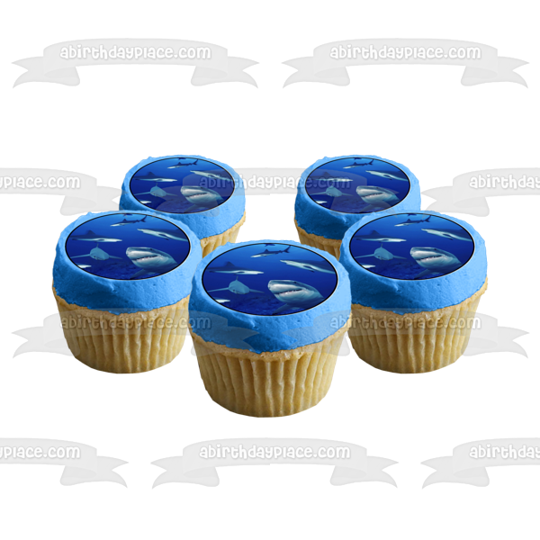 Ocean Life Sharks Swimming Water Edible Cake Topper Image ABPID27740