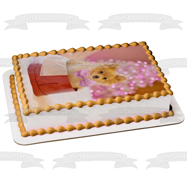 Christmas Pomeranian Dog Edible Cake Topper Image ABPID50456