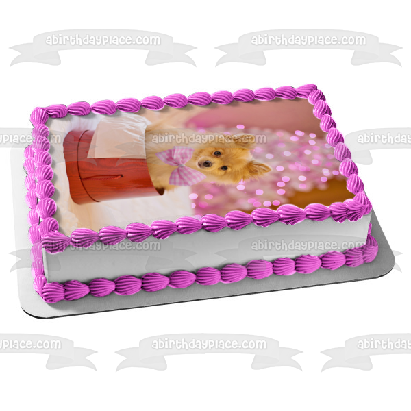 Christmas Pomeranian Dog Edible Cake Topper Image ABPID50456