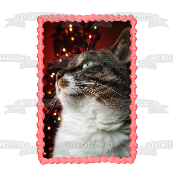 Majestic Holiday Cat Edible Cake Topper Image ABPID50464