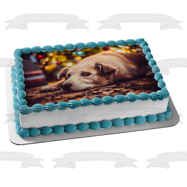 Pooch Waiting for Santa Edible Cake Topper Image ABPID50465