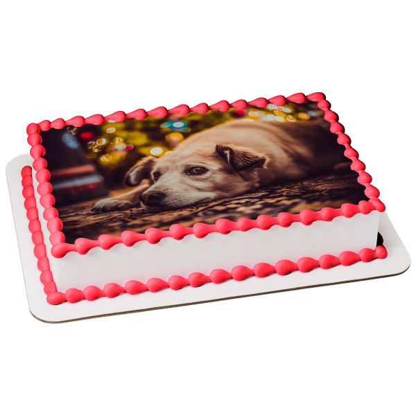Pooch Waiting for Santa Edible Cake Topper Image ABPID50465