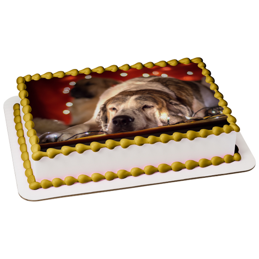 Sleepy Christmas Lights Dog Edible Cake Topper Image ABPID50469