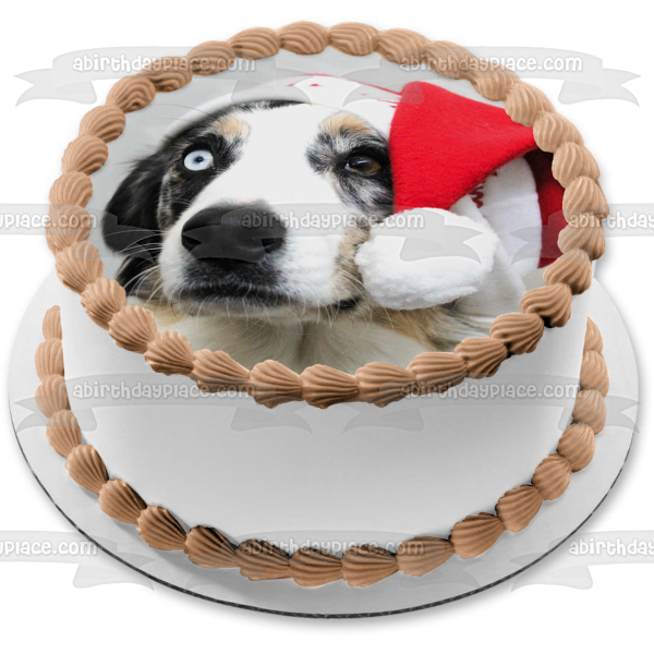 Holiday Hat Australian Shepherd Dog Edible Cake Topper Image ABPID50470