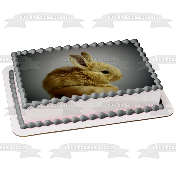 Baby Bunny In Hand Edible Cake Topper Image ABPID50474
