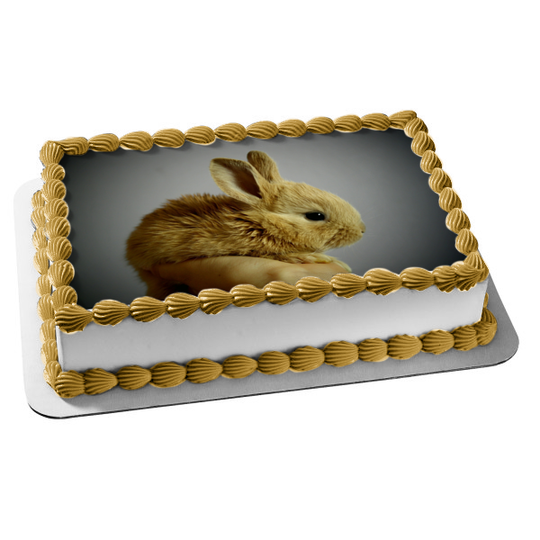 Baby Bunny In Hand Edible Cake Topper Image ABPID50474