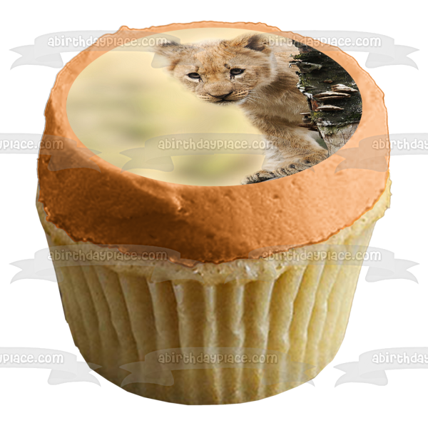 Curious Lion Cub Edible Cake Topper Image ABPID50477