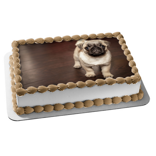 Pug Puppy Edible Cake Topper Image ABPID50480