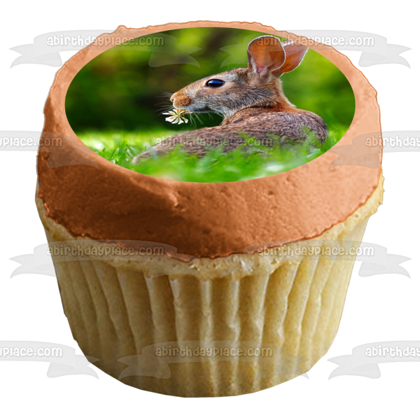 Rabbit Relaxing In Green Grass Edible Cake Topper Image ABPID50481