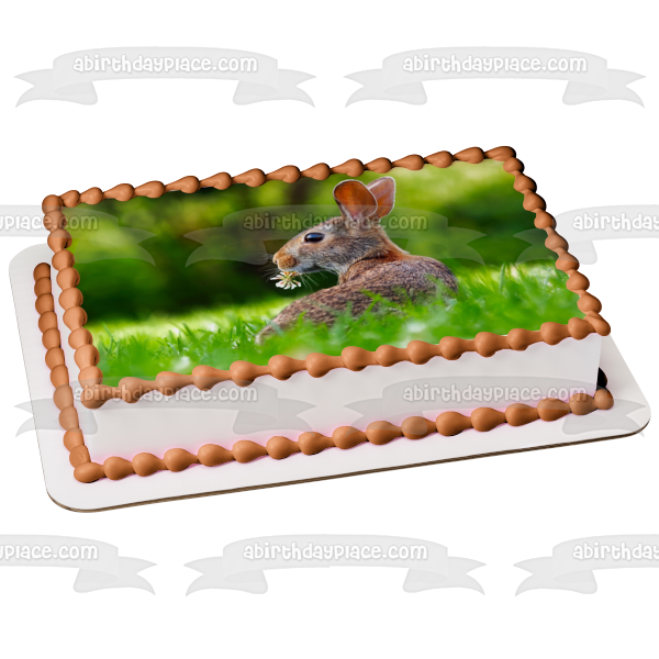 Rabbit Relaxing In Green Grass Edible Cake Topper Image ABPID50481