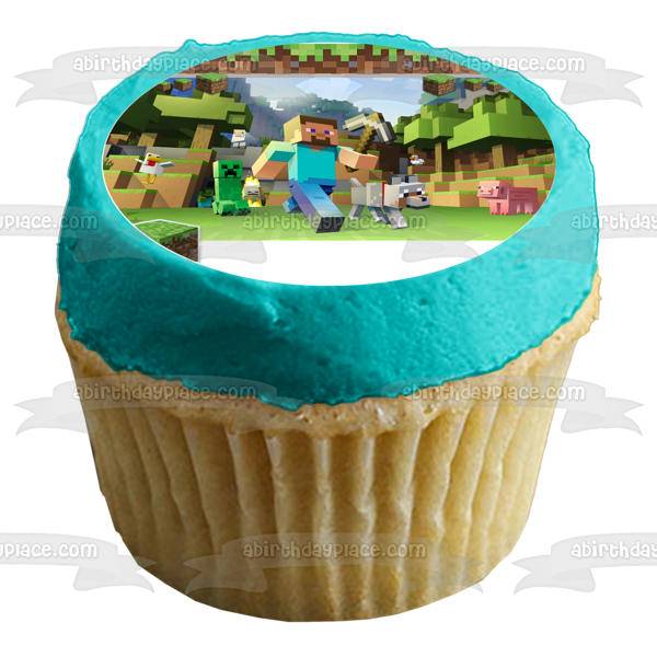 Minecraft Steve Personalized Edible Cake Topper Image ABPID50721