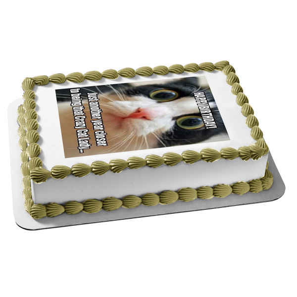 Meme Happy Birthday Crazy Eyed Cat Crazy Cat Lady Edible Cake Topper Image ABPID51484