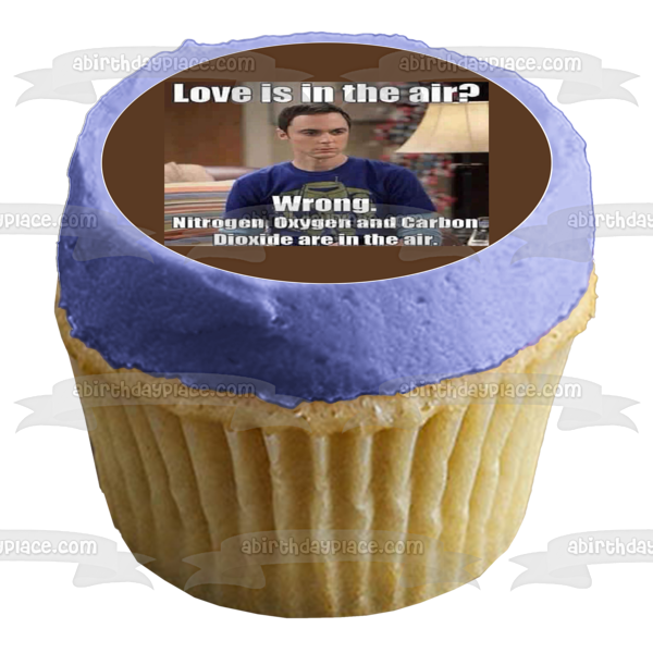 Meme the Big Bang Theory Sheldon Cooper Love Is In the Air Edible Cake Topper Image ABPID51490
