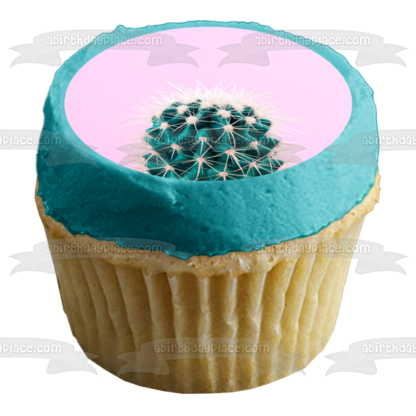 edible succulent cake toppers Lone Cactus Succulent Cactus Flower Plant Edible Cake Topper Image ABPID52257
