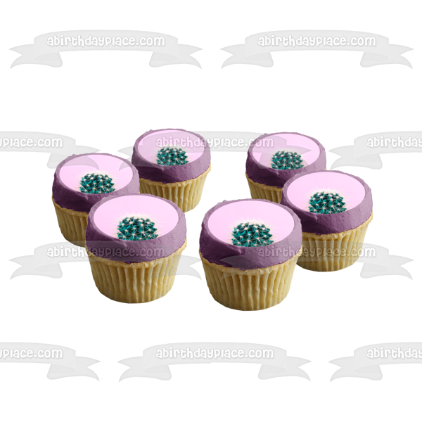 edible succulent cupcake toppers Lone Cactus Succulent Cactus Flower Plant Edible Cake Topper Image ABPID52257